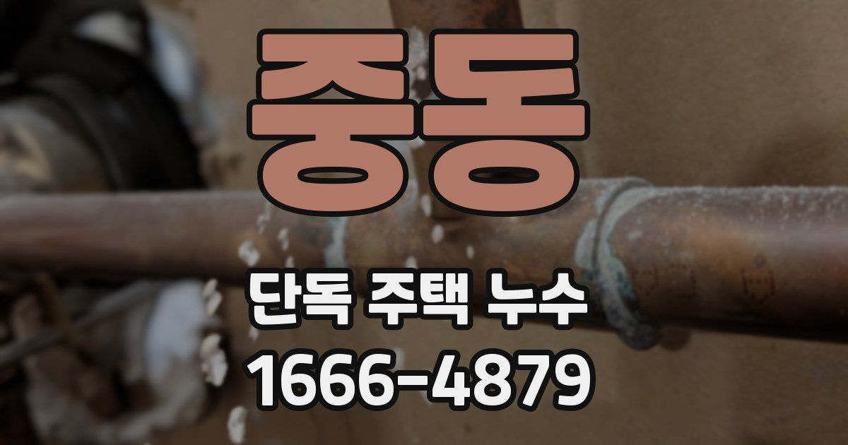 중동 단독 주택 누수
