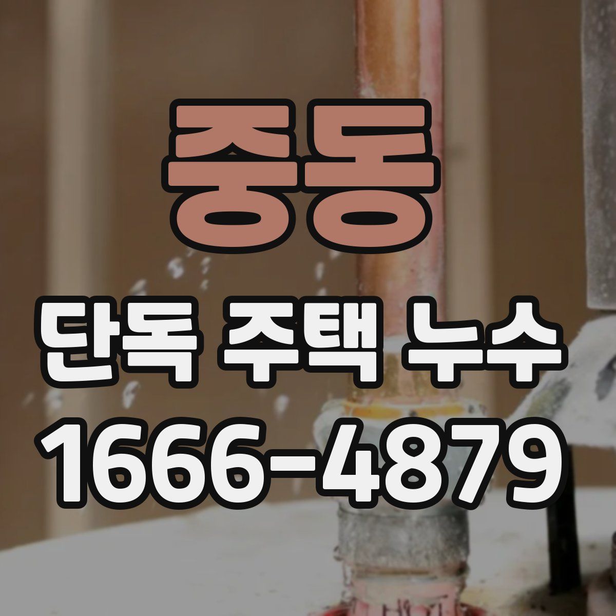 중동 단독 주택 누수