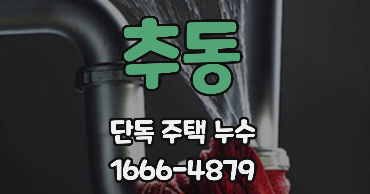 추동 단독 주택 누수