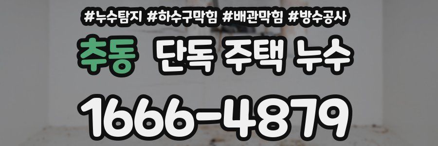 추동 단독 주택 누수