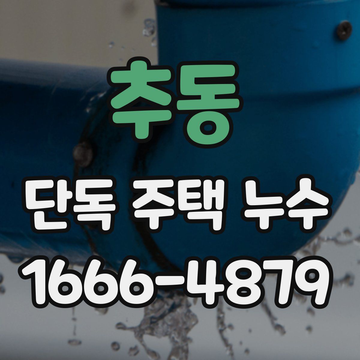 추동 단독 주택 누수