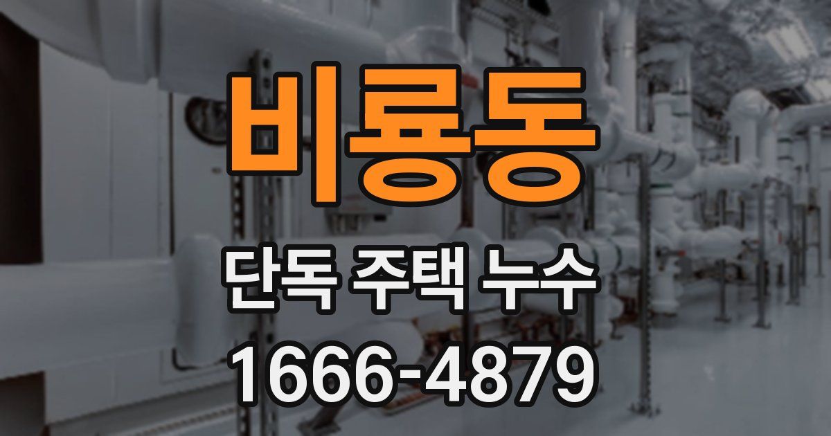 비룡동 단독 주택 누수