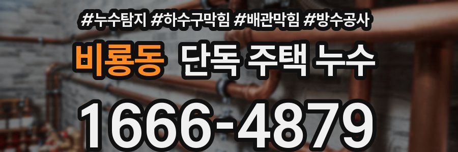 비룡동 단독 주택 누수