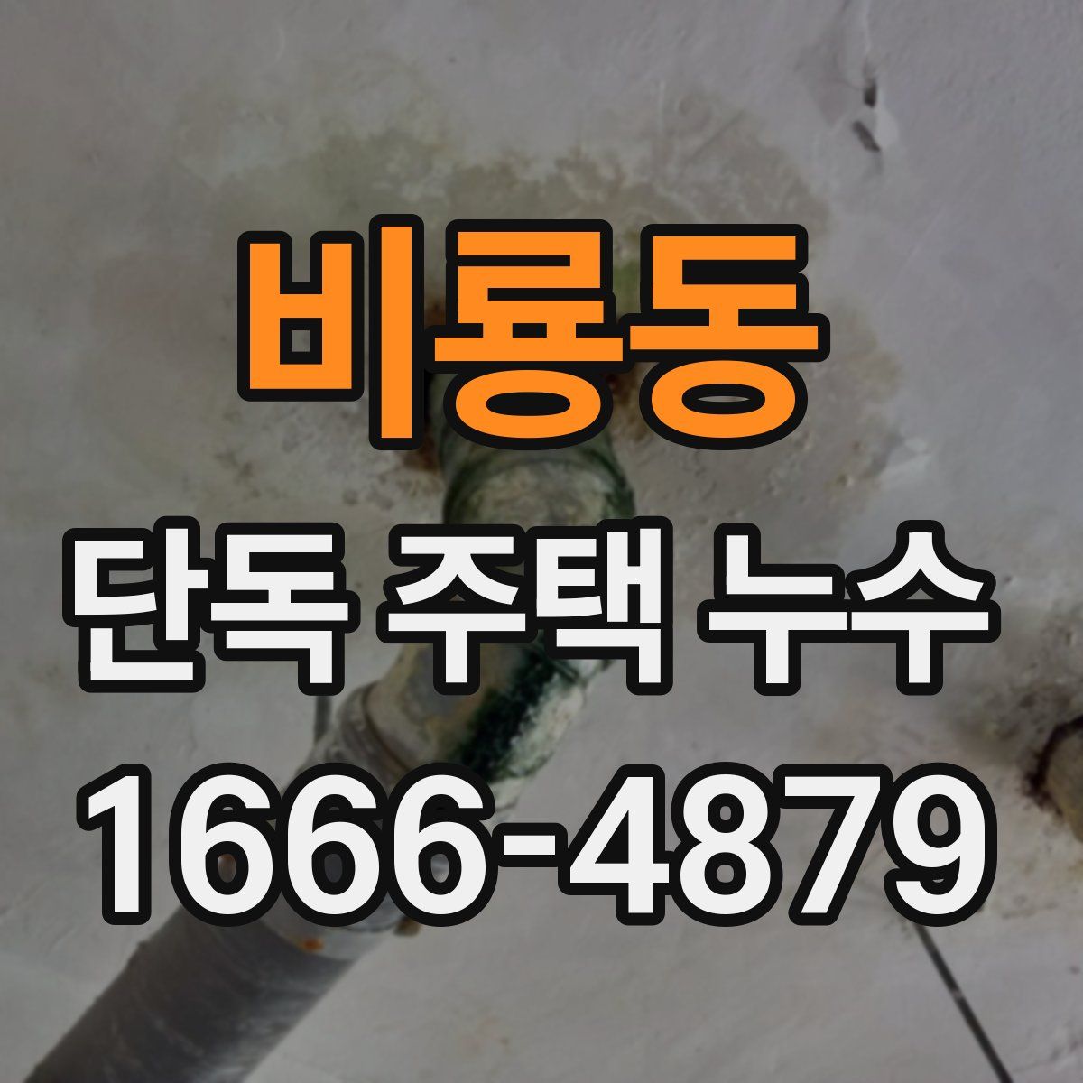 비룡동 단독 주택 누수