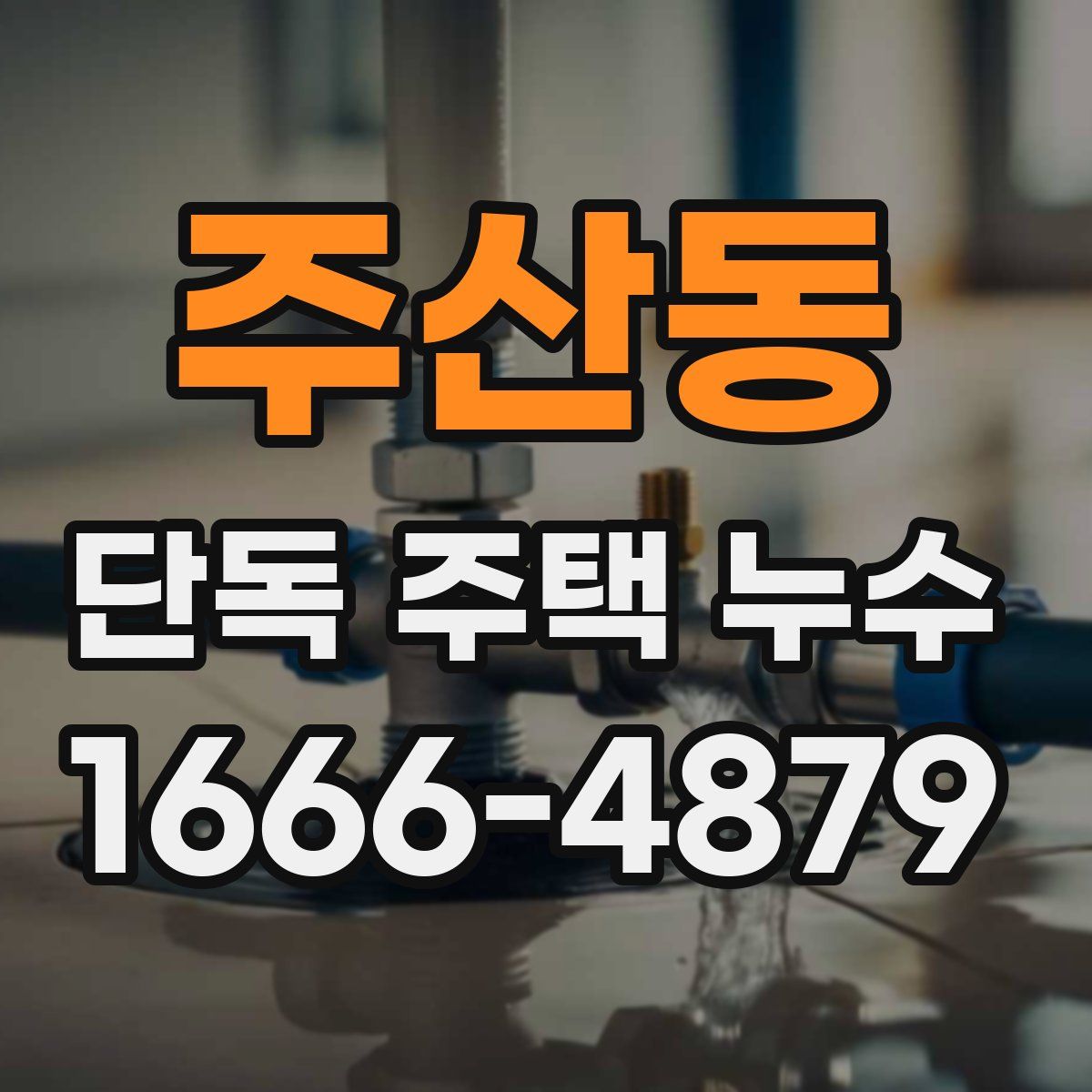 주산동 단독 주택 누수