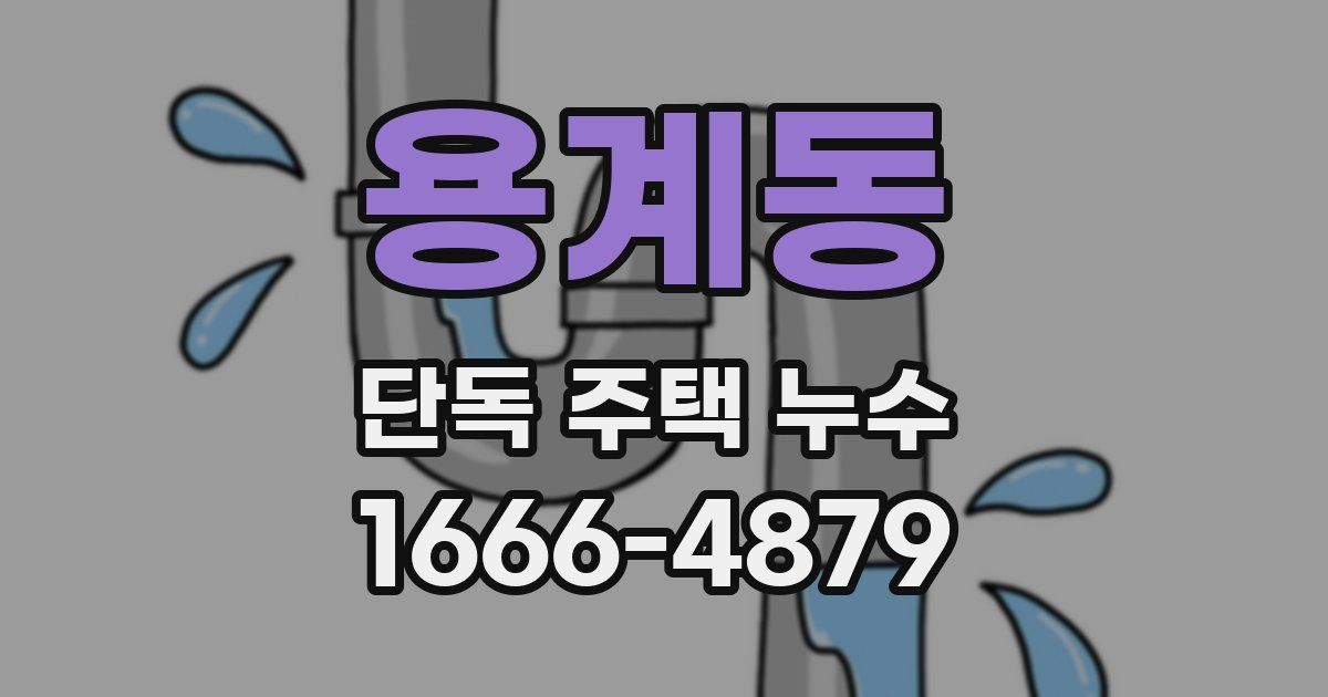 용계동 단독 주택 누수