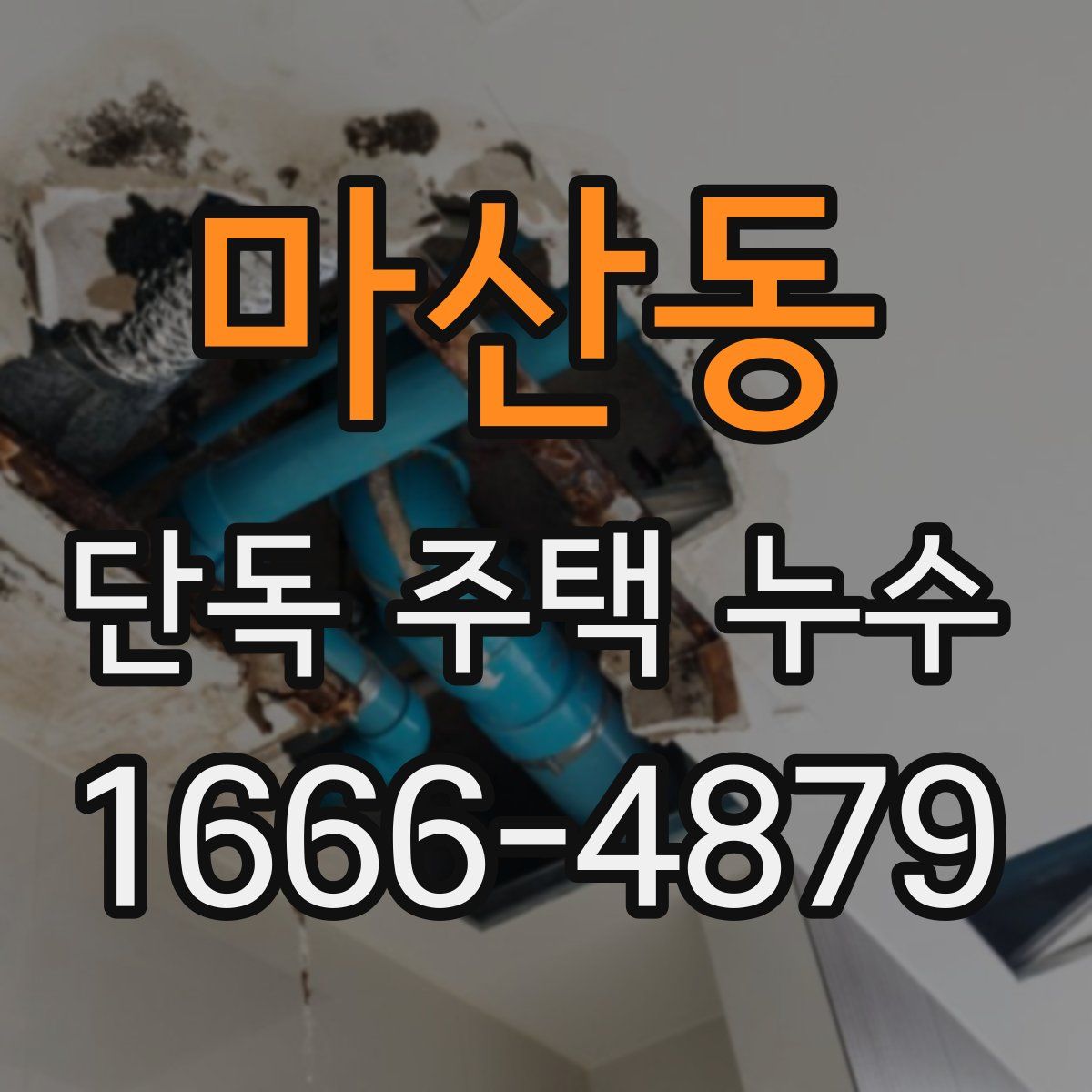 마산동 단독 주택 누수