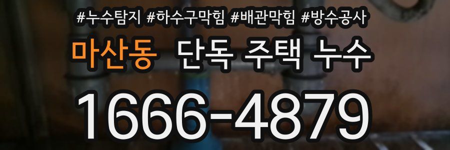 마산동 단독 주택 누수