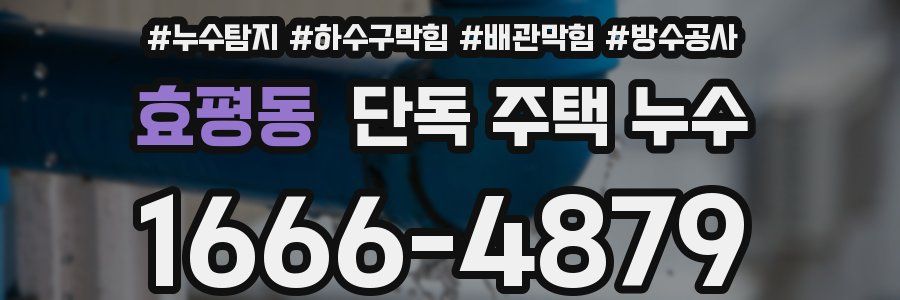 효평동 단독 주택 누수