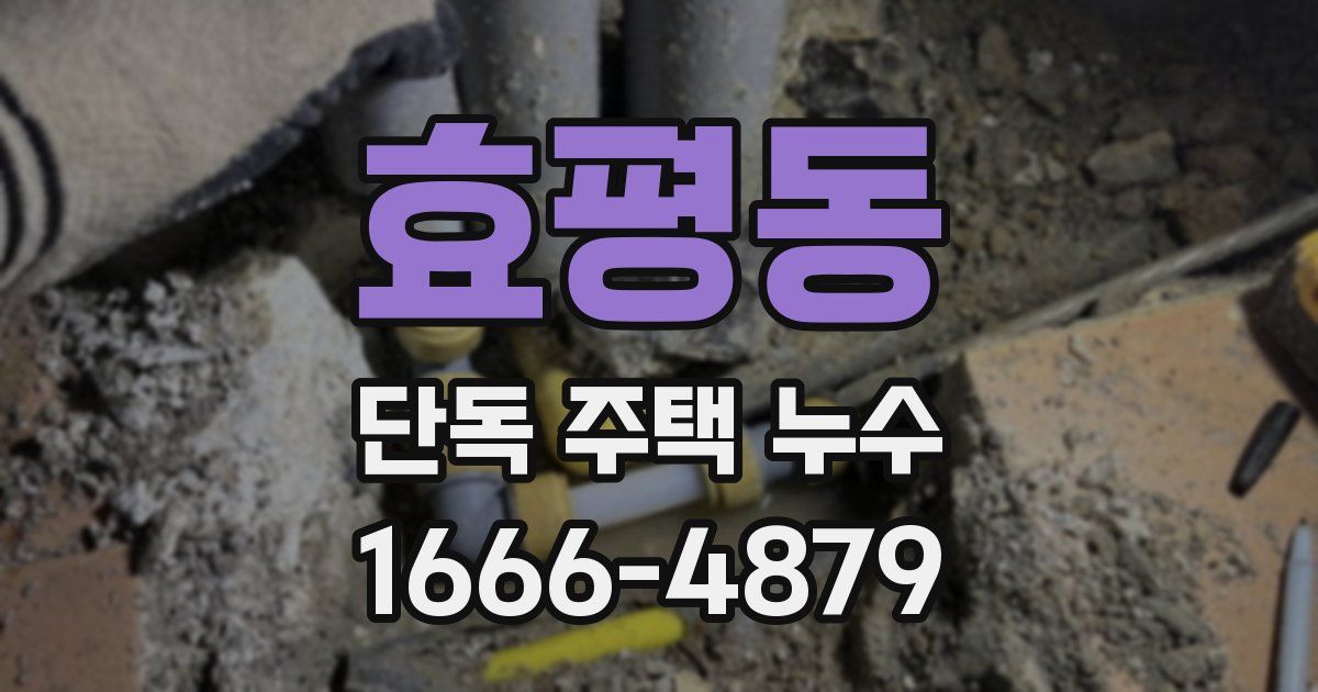 효평동 단독 주택 누수