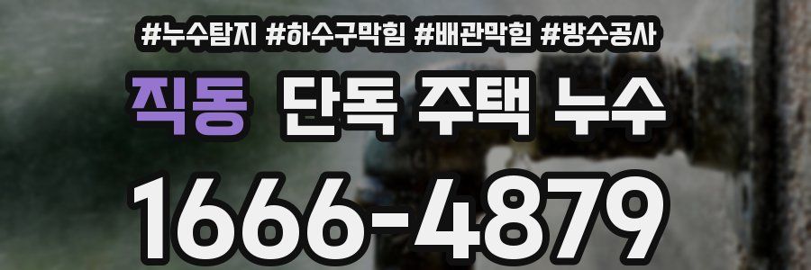 직동 단독 주택 누수