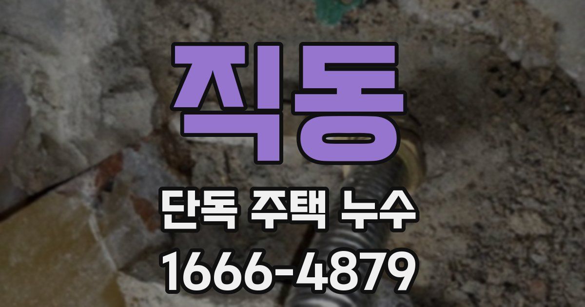 직동 단독 주택 누수