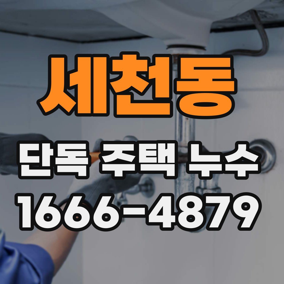 세천동 단독 주택 누수