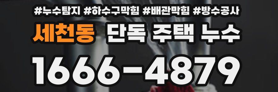 세천동 단독 주택 누수