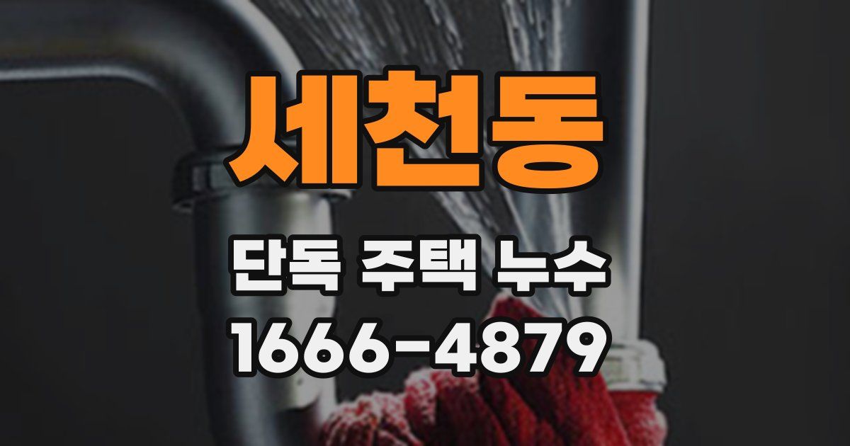 세천동 단독 주택 누수