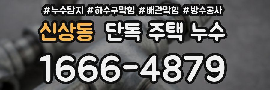 신상동 단독 주택 누수