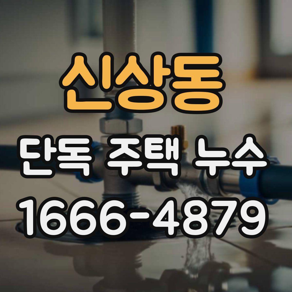 신상동 단독 주택 누수