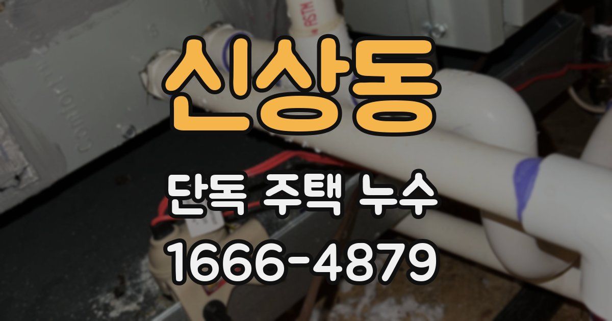 신상동 단독 주택 누수