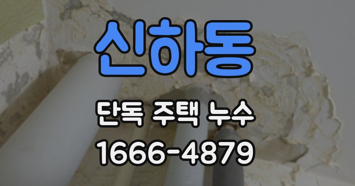신하동 단독 주택 누수