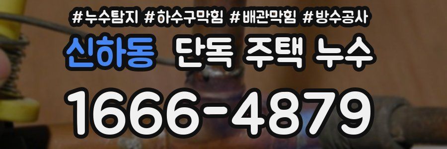 신하동 단독 주택 누수
