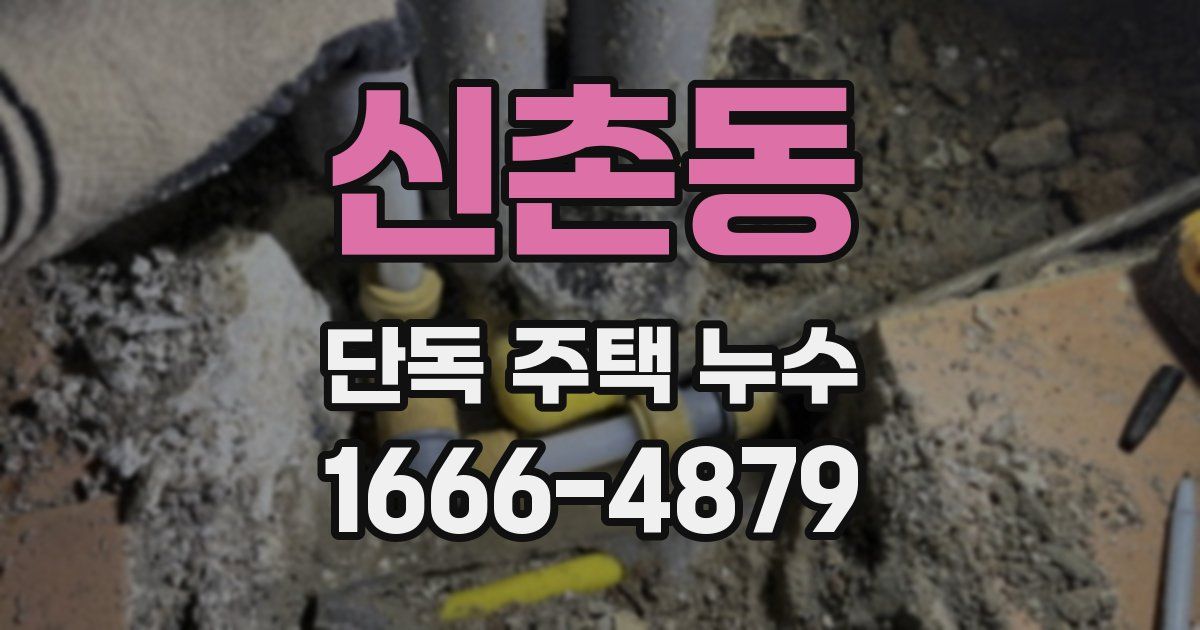 신촌동 단독 주택 누수