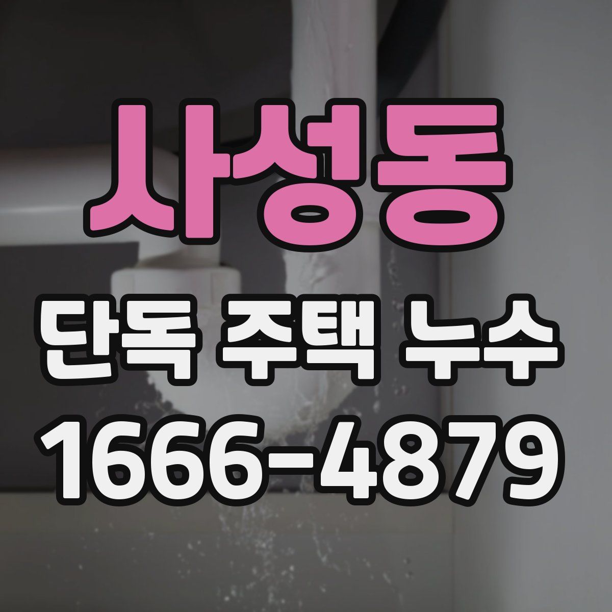 사성동 단독 주택 누수