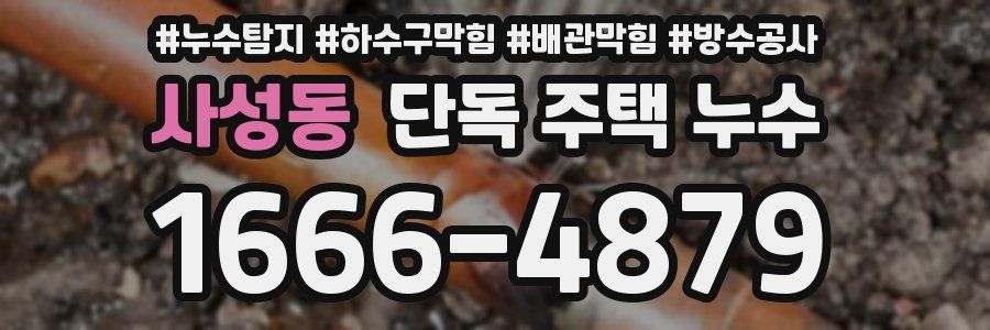 사성동 단독 주택 누수