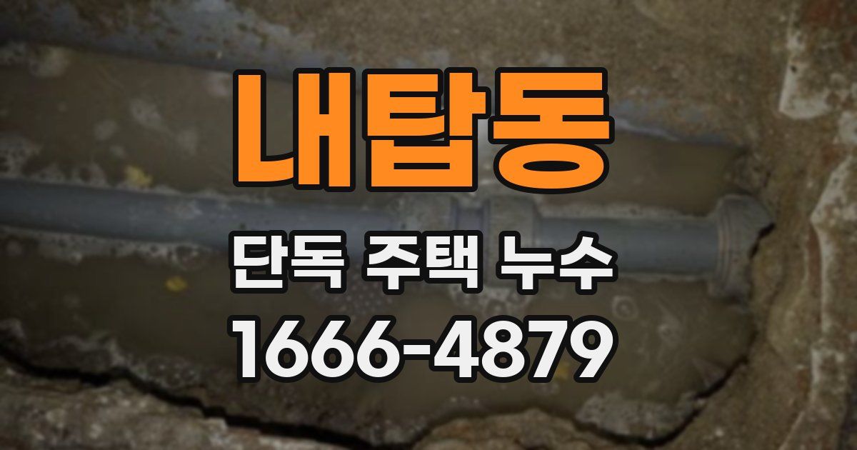 내탑동 단독 주택 누수