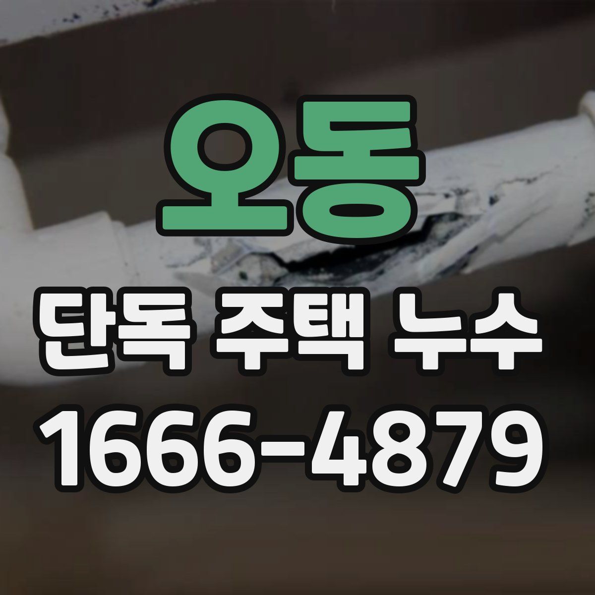 오동 단독 주택 누수