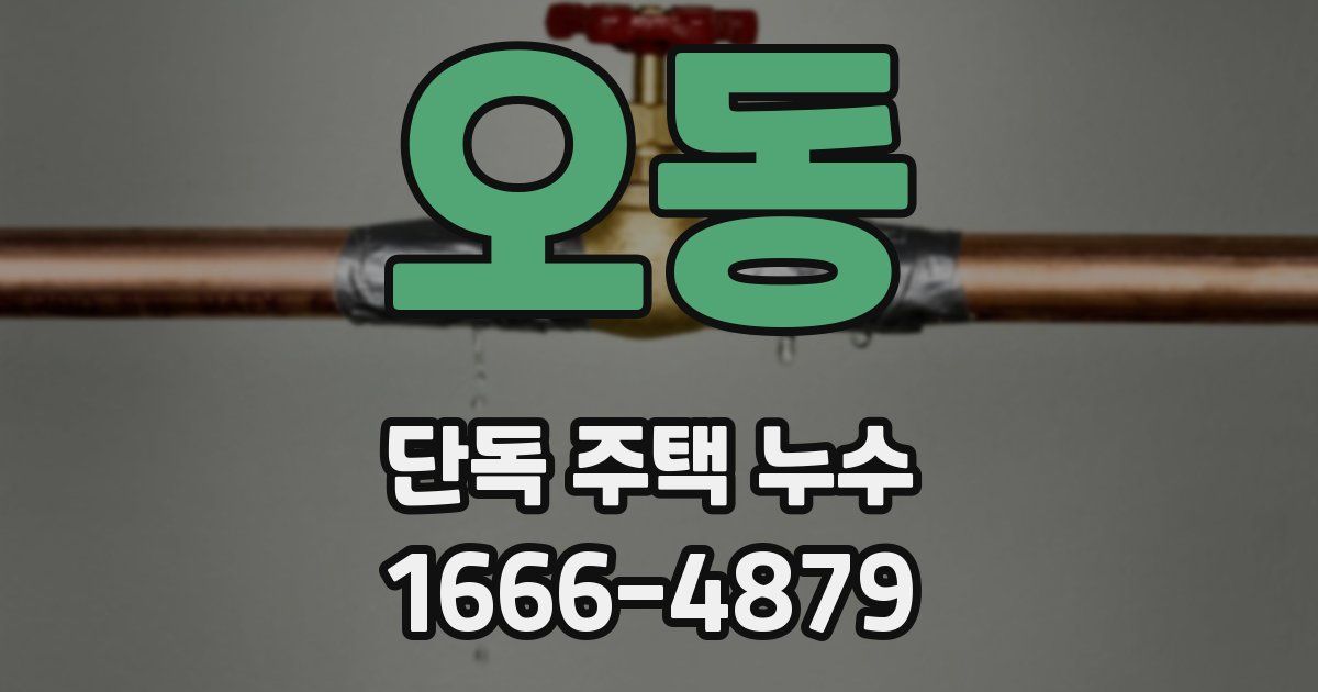 오동 단독 주택 누수