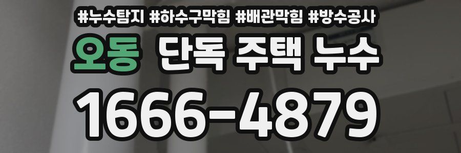 오동 단독 주택 누수