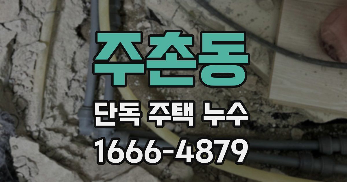 주촌동 단독 주택 누수