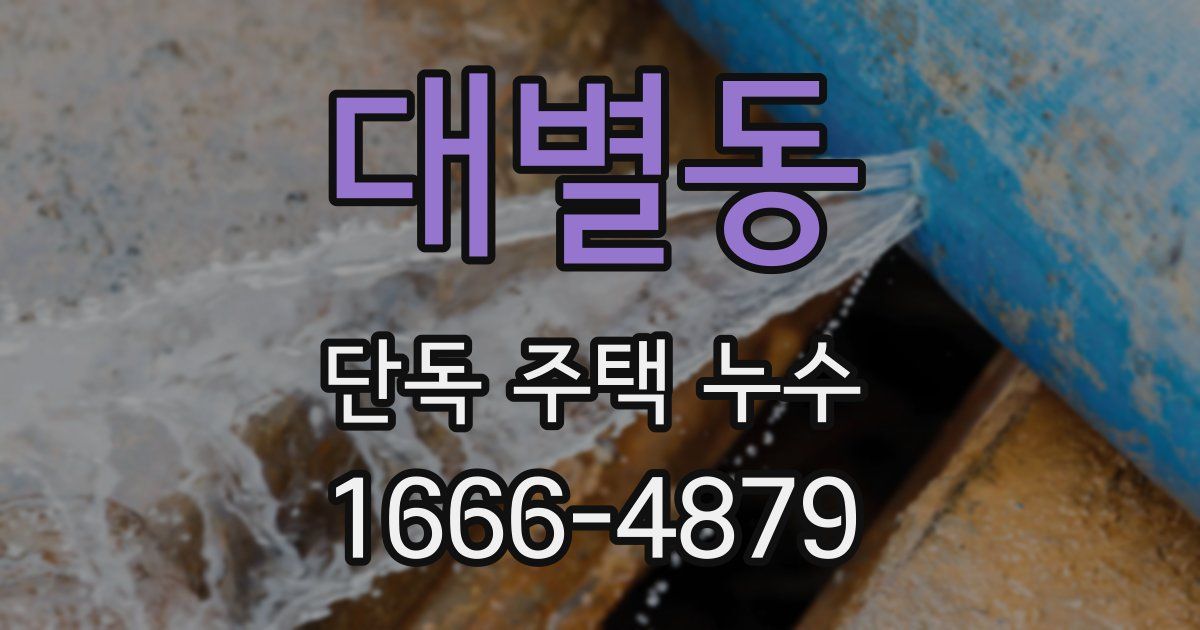 대별동 단독 주택 누수