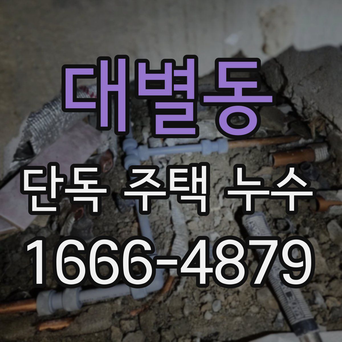 대별동 단독 주택 누수