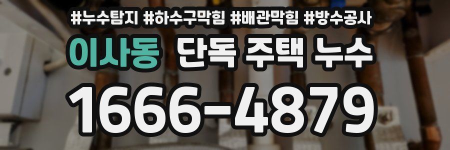 이사동 단독 주택 누수
