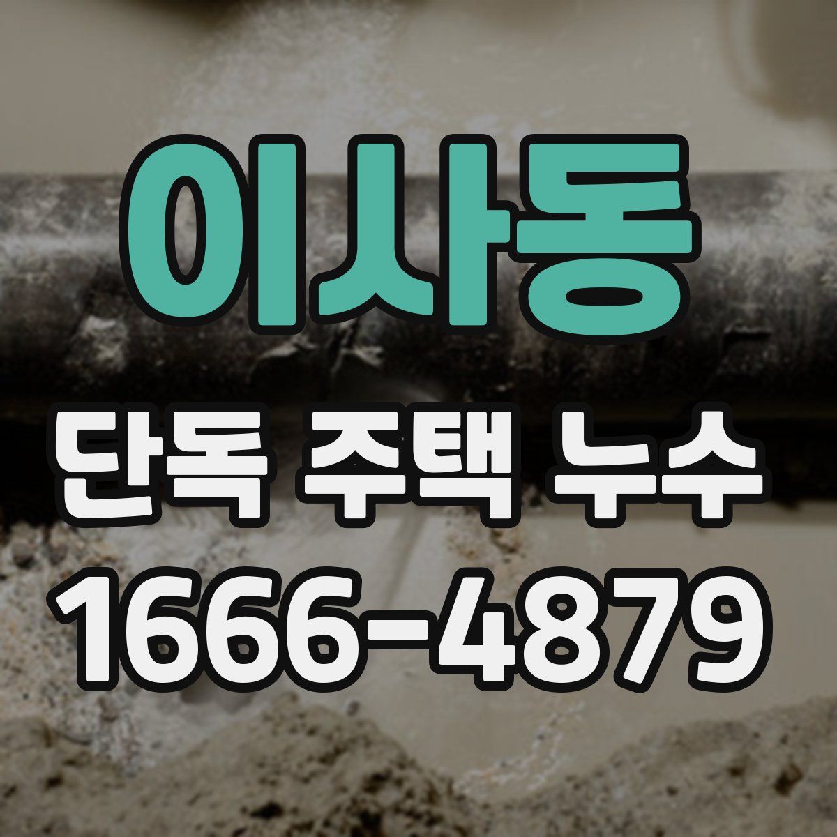 이사동 단독 주택 누수