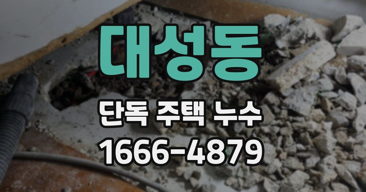 대성동 단독 주택 누수