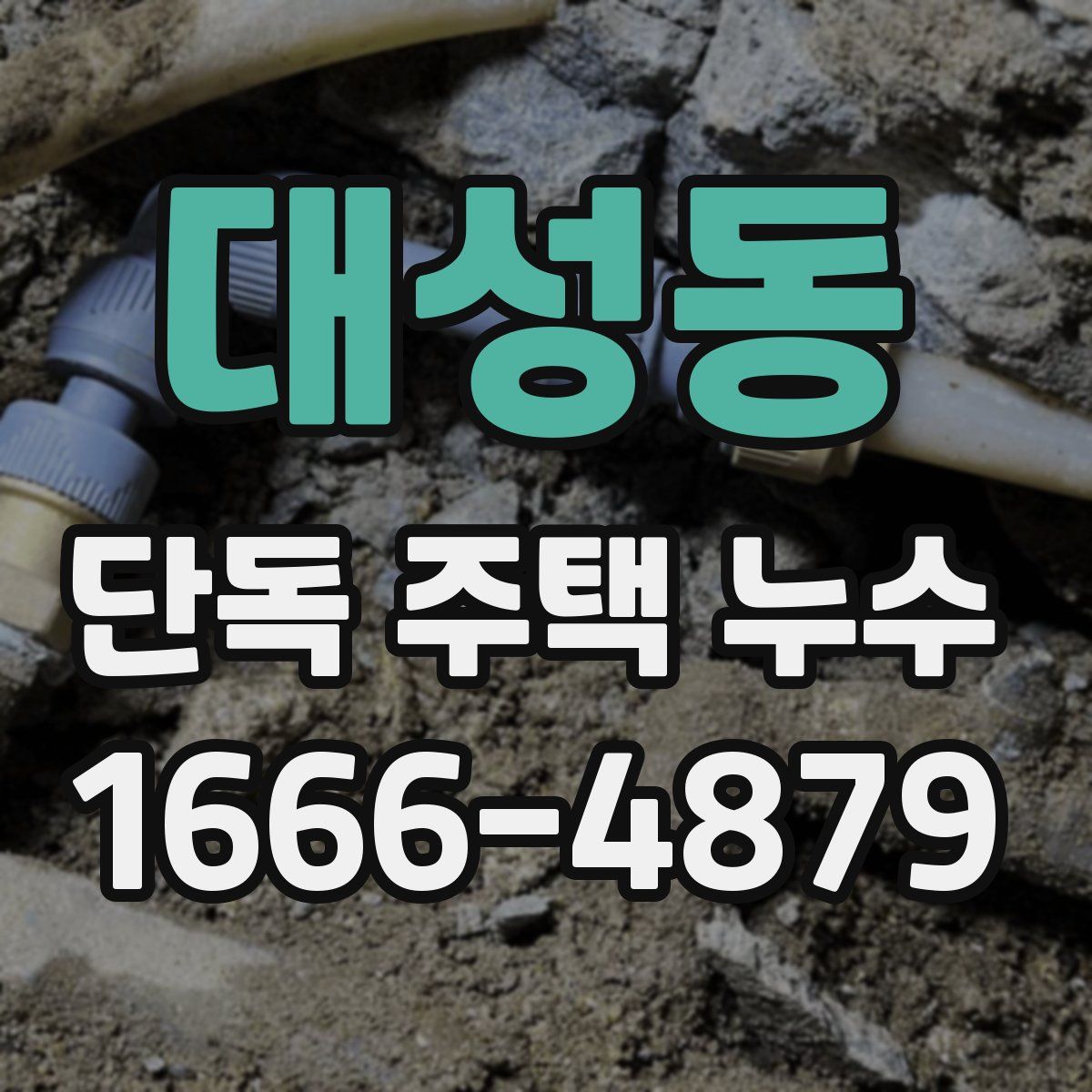 대성동 단독 주택 누수