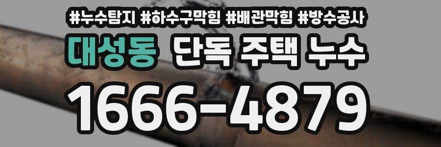 대성동 단독 주택 누수
