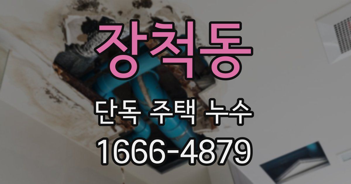 장척동 단독 주택 누수