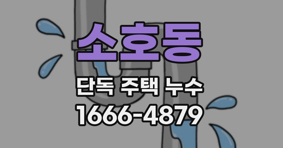 소호동 단독 주택 누수
