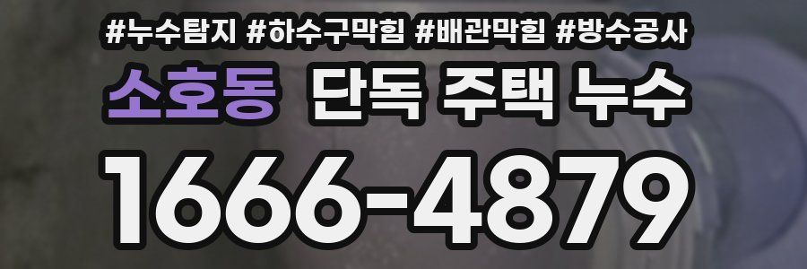 소호동 단독 주택 누수