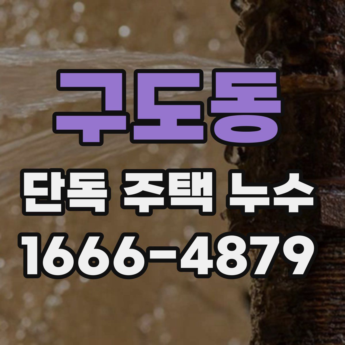 구도동 단독 주택 누수
