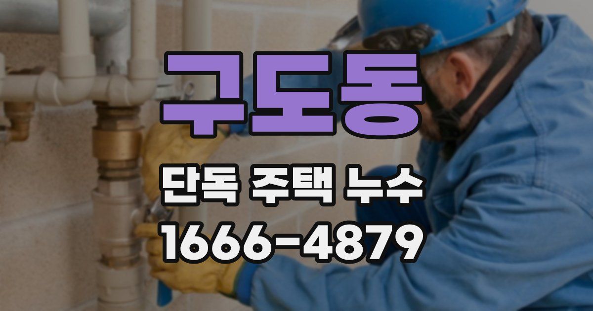 구도동 단독 주택 누수