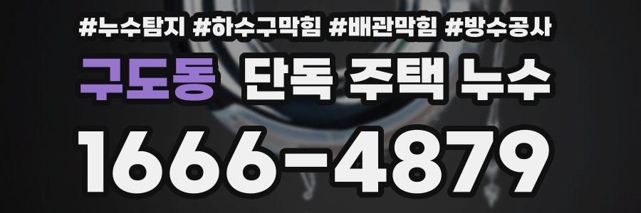 구도동 단독 주택 누수