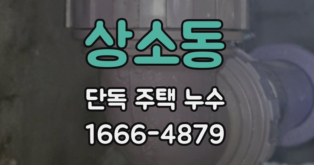 상소동 단독 주택 누수