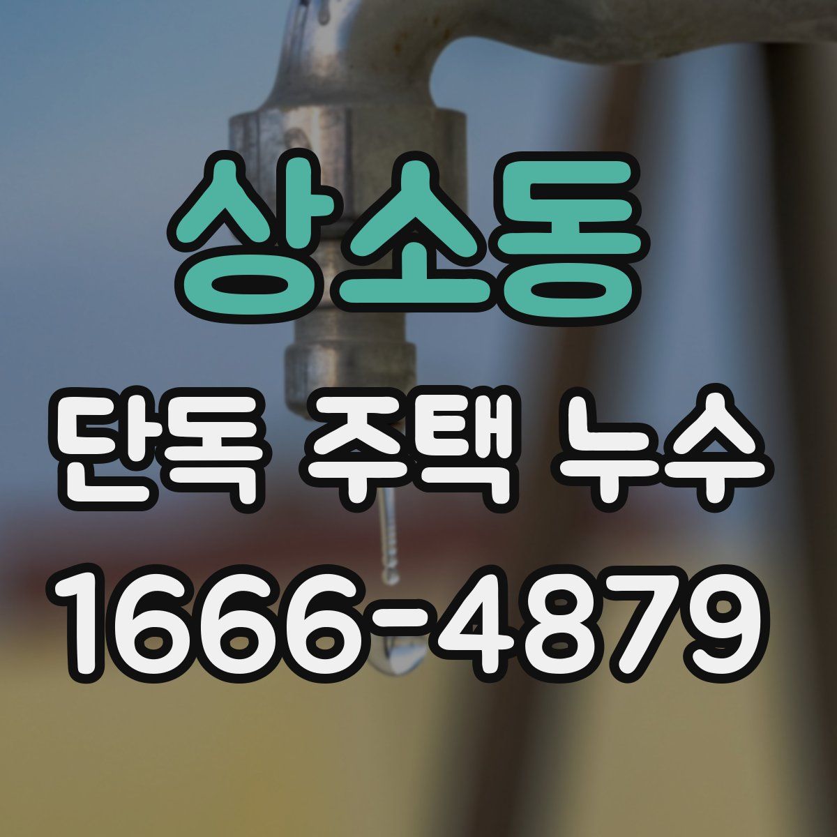 상소동 단독 주택 누수