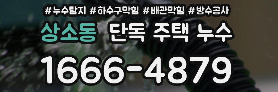 상소동 단독 주택 누수