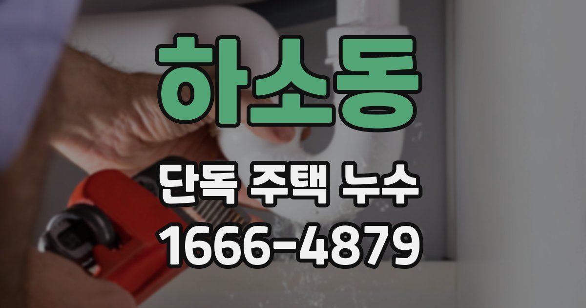 하소동 단독 주택 누수