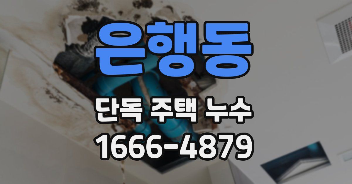 은행동 단독 주택 누수